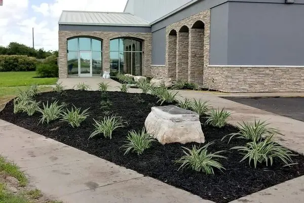 Affordable landscaping contractor in Corpus Christi, TX